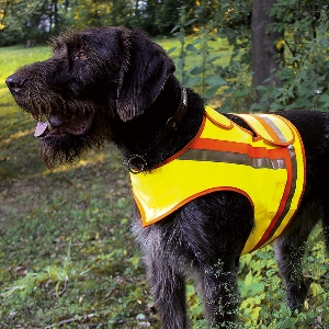 Chaleco reflectante para perros
